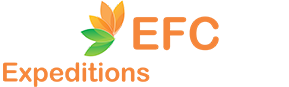 One Consciousness Society Foundation
